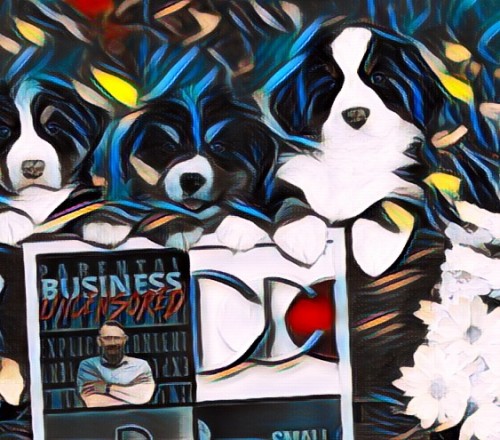 BusinessUncensoredSmallBusinessChroniclespodcastguesttrainerRichardBlankCostaRicasCallCenter.jpg